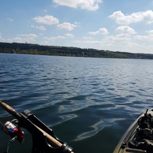 Fishing Brauni