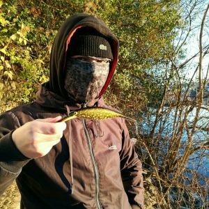 matzederangler