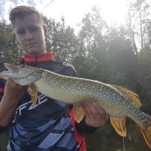 Profilbild