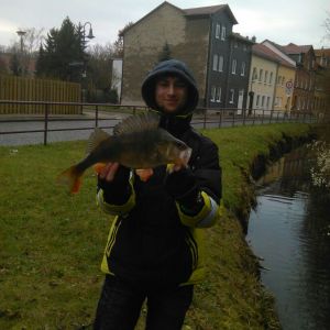 Profilbild
