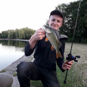 Profilbild