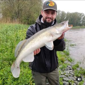 Massimiliano_fishing