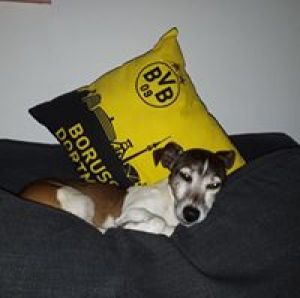 Profilbild