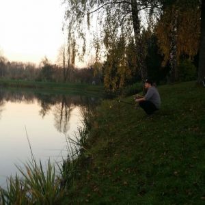 Profilbild