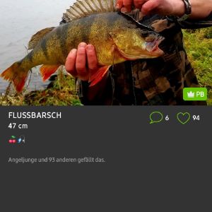 Profilbild