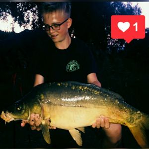 Profilbild