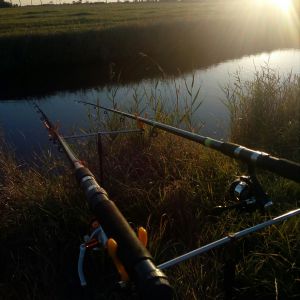 my_fishingworld_wotekoetes