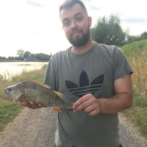 Profilbild