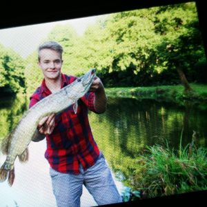 Profilbild