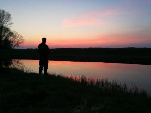 Havelangler19