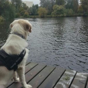Profilbild