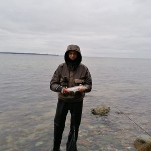 Profilbild