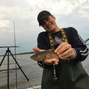 Kampa_angler