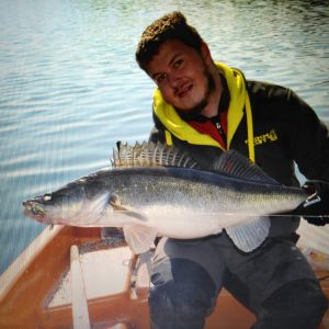 Profilbild