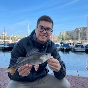 Profilbild