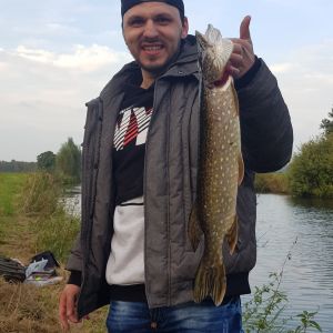 Profilbild