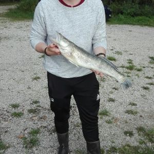 Profilbild