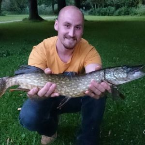 Hammer Hechthunter 2