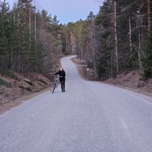 Profilbild