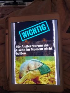 Profilbild
