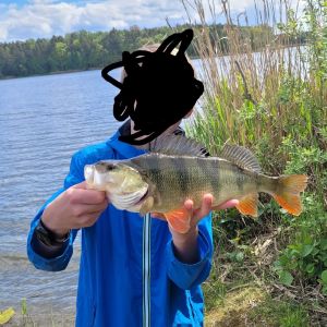 Profilbild