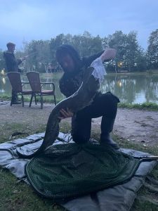 Profilbild