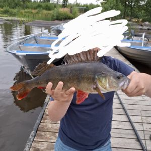 Profilbild
