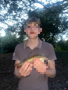 Profilbild