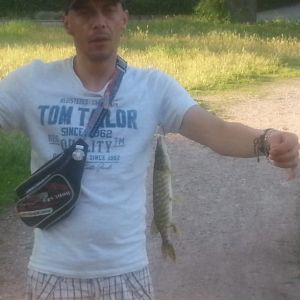 Profilbild