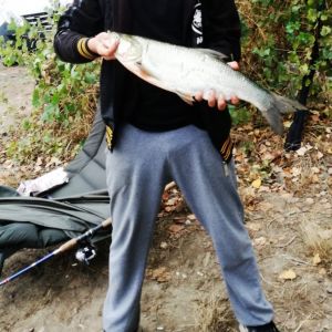 Profilbild
