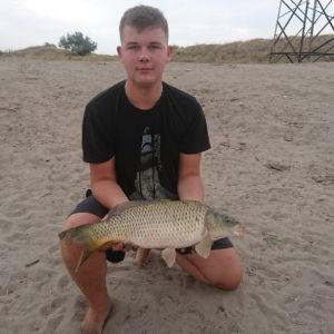Profilbild