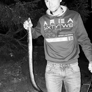 Timme95