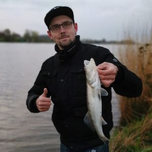 Profilbild