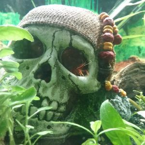 Profilbild
