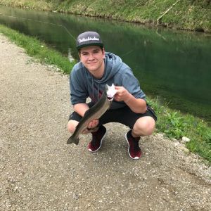Profilbild