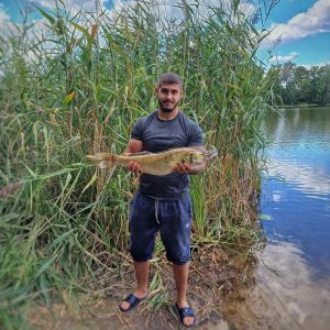Profilbild