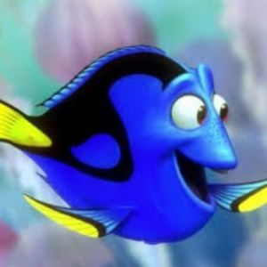 Profilbild