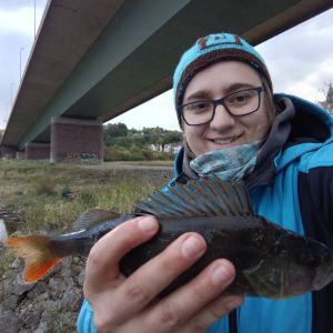 Profilbild