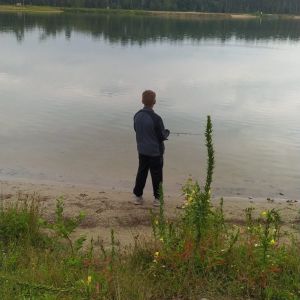 Profilbild