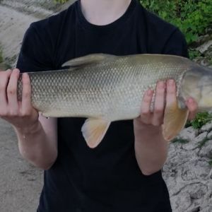 Profilbild