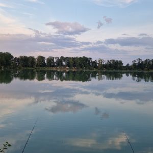 Sebastian_carpfishing