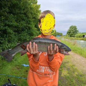 Profilbild