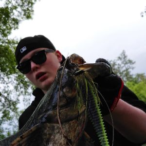 Profilbild