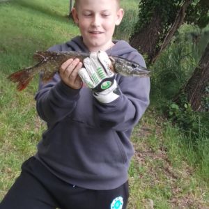 Profilbild