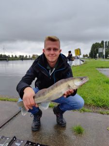 Profilbild