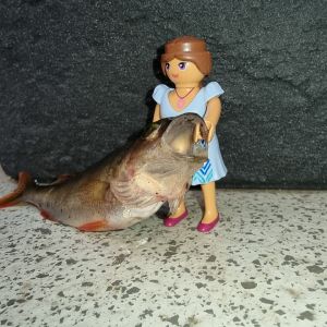 Ricarda.L