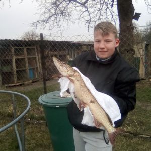 Profilbild
