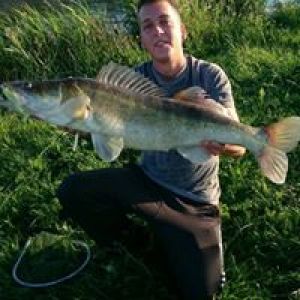 Michael Ulrike Snoekbars