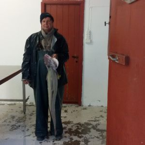 Profilbild