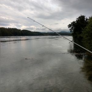 cdreschler